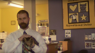 Remember the Winnebago Man video? Here’s that, but with kittens
